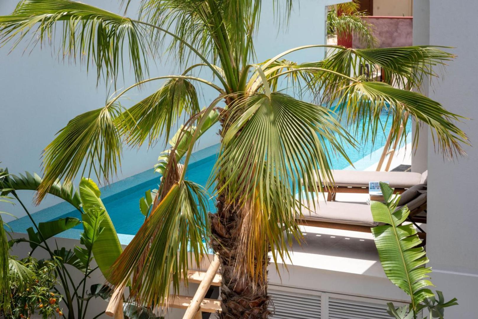 D Palm Premium Living - Kalathas, Chania Hanya Dış mekan fotoğraf